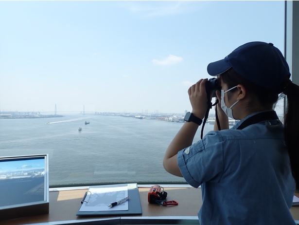 「名古屋港ポートビル」から目視でスナメリを調査している様子