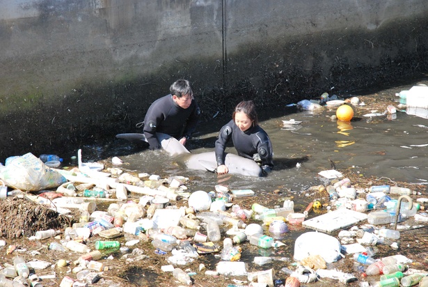 河川へ迷い込んだスナメリを保護する名古屋港水族館のスタッフ