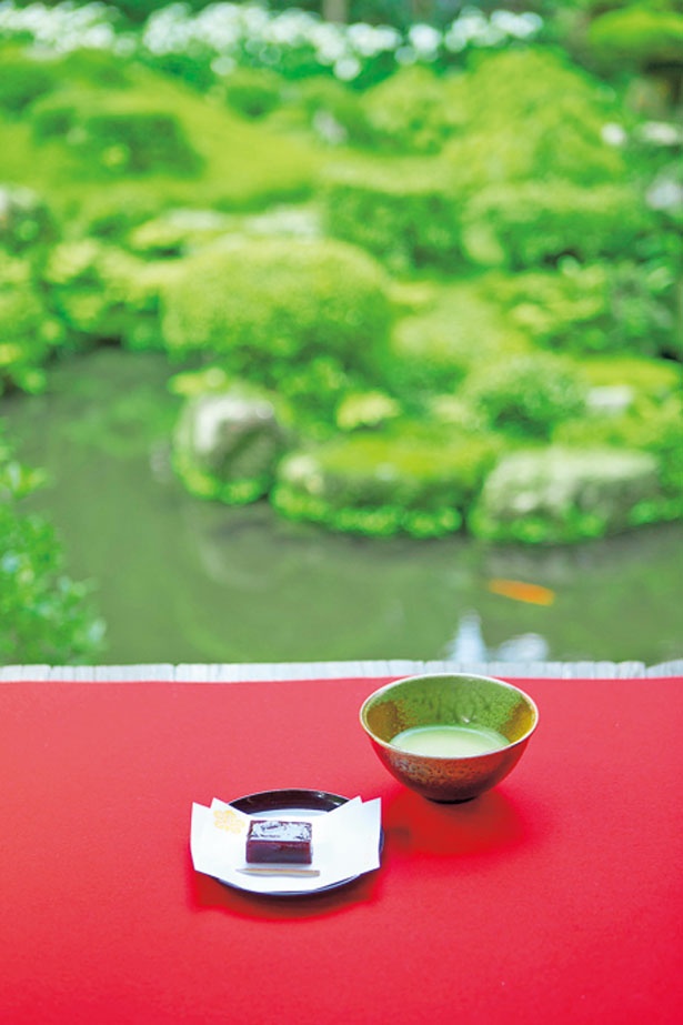 聚碧園では庭を眺めながら「抹茶(お菓子付き)」(500円)も味わえる/三千院