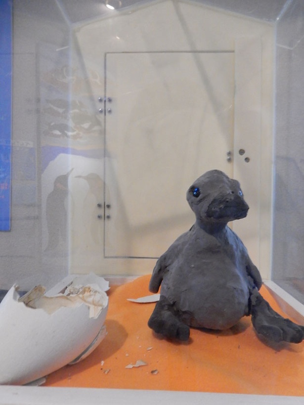 旭山動物園・ぺんぎん館/7月に生まれたキングペンギンの卵とヒナの模型