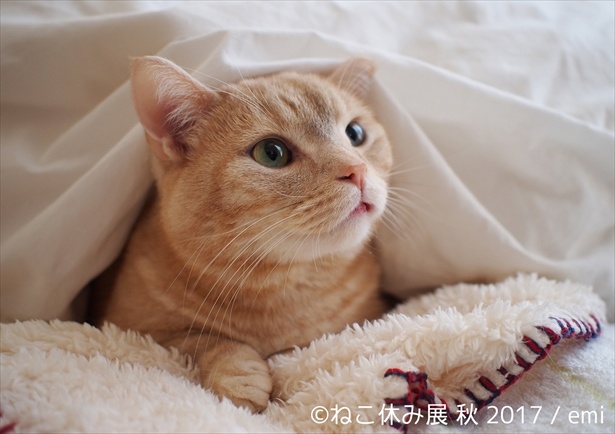 お布団のなかから「こんにちは♪」
