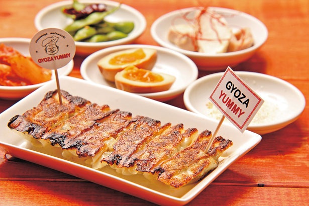 薄めの皮で2人前はいける/GYOZA YUMMY