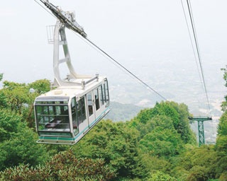 【関西山登り】金色のススキが揺らぐ！「大和葛城山」の高原ハイク