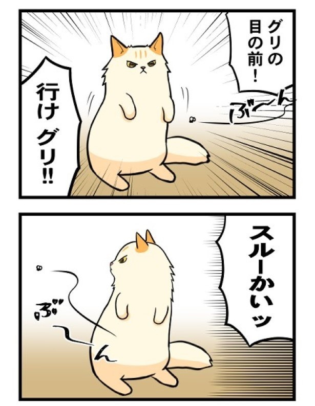 一旦はスルーして、獲物を泳がせた…？ もちこ(@mogutchecho)