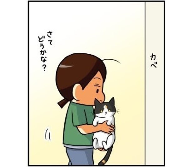 我が家の猫チャレンジ_03