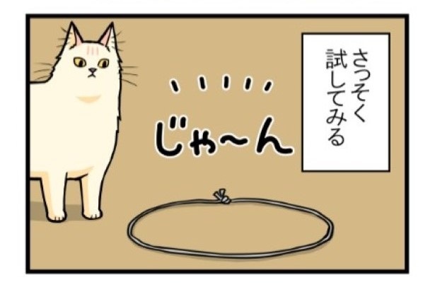 猫を召還してみたい_2