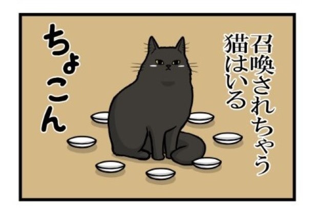 勝手に召還される猫_4