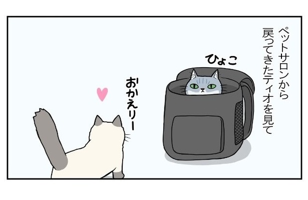 猫の記憶力2