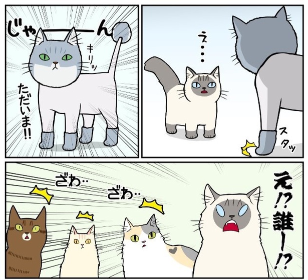 猫の記憶力3