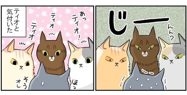 猫の記憶力のつづき4