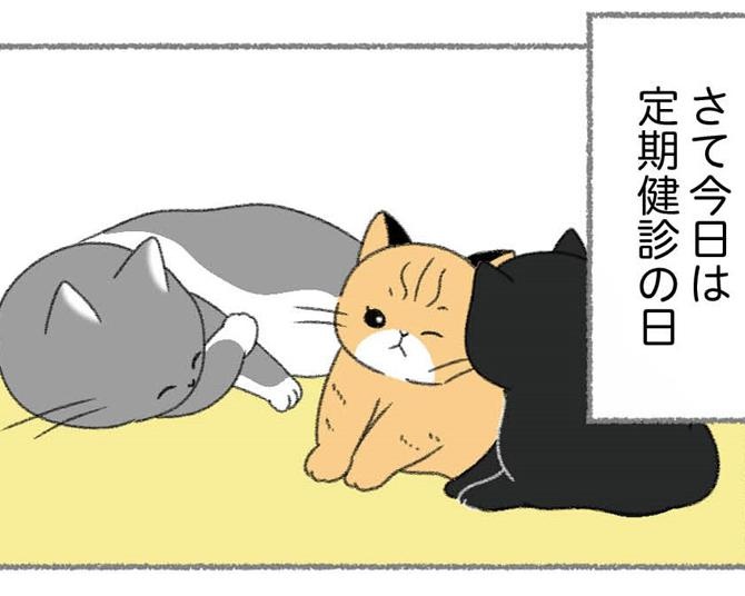 【ネコ漫画】かかりつけの動物病院を決める際のポイントとは？11匹の猫と暮らすユーチューバーに聞いてみた