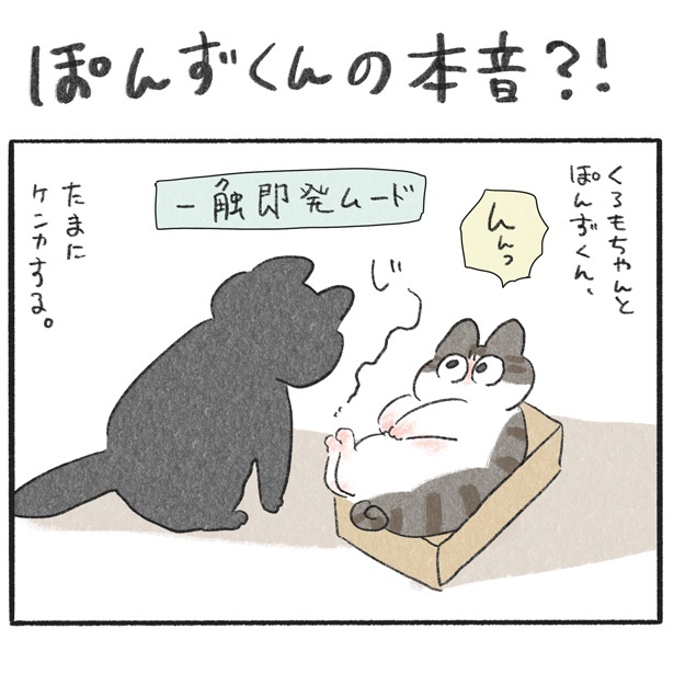 くろもとぽんず~うちの猫がかわいすぎる!~第4話1