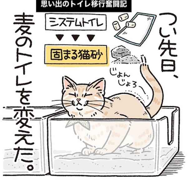 思い出のトイレ移行奮闘記1(1)