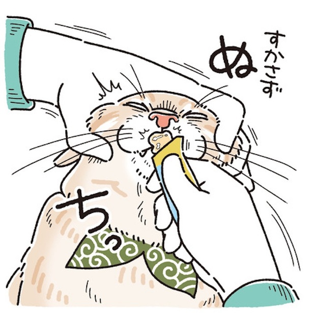  麦の健康診断6(6)