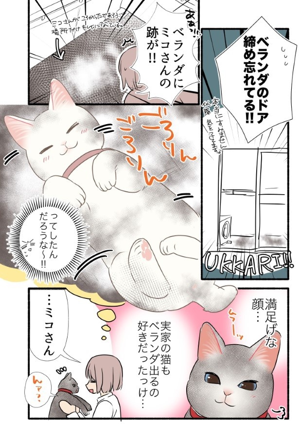 白猫が黒猫になってた話_P3