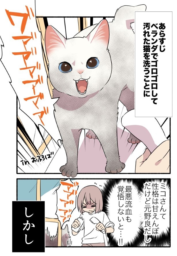 黒猫になった白猫を洗う話_P1