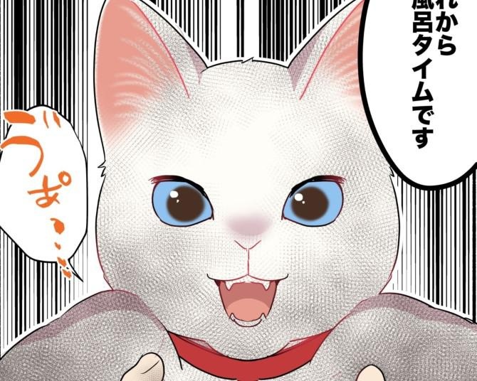 【ねこ漫画】白猫が黒猫になったワケは？猫あるある！“戦慄のお風呂タイム”に共感の声【作者に聞く】