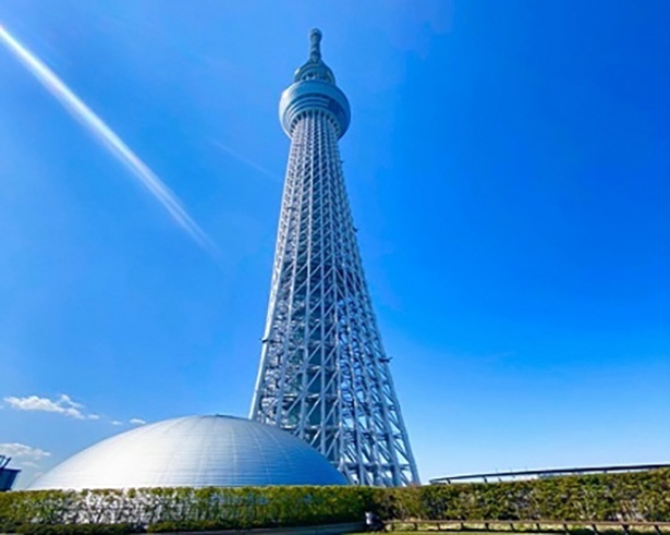 スカイツリーの真下で花火を楽しもう