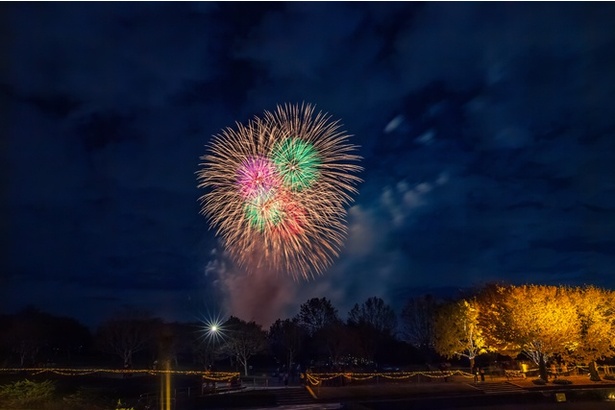 「立川まつり 国営昭和記念公園花火大会」は2024年7月27日(土)に東京都立川市の国営昭和記念公園で開催される