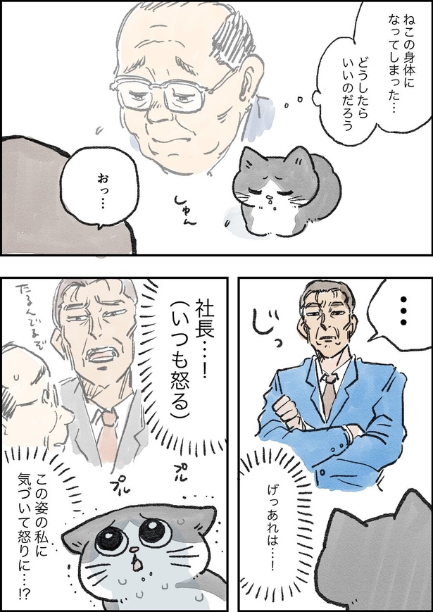 ねこに転生したおじさん　その5
