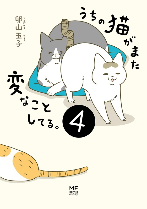 『うちの猫がまた変なことしてる。4』