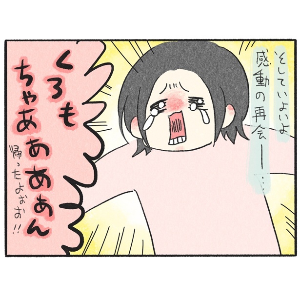 ＜画像6 84＞【ネコ漫画】愛猫のときが止まる！久しぶりの再会に戸惑い、飼い主を「いなくなった人」認定しちゃった 【作者に聞いた】｜fandomplus ファンダムプラス