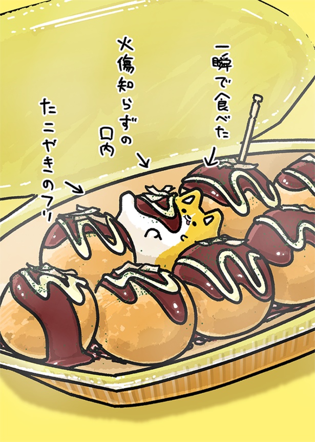 「たこ焼き」3/3