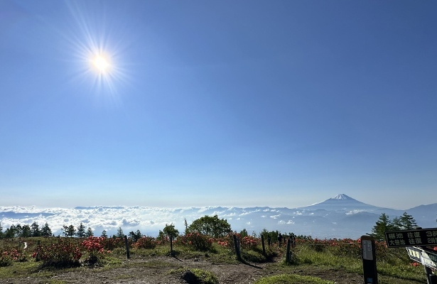 甘利山山頂からの絶景