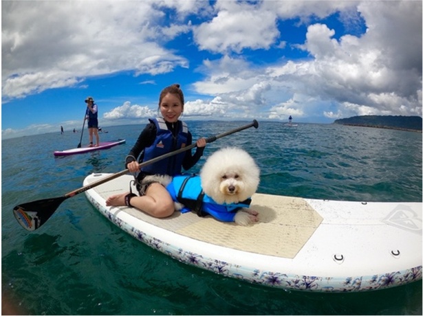 【写真】鋸南町「UMI to YAMA」では愛犬とのSUP体験も