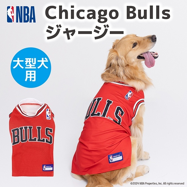 CHICAGO BULLSジャージ