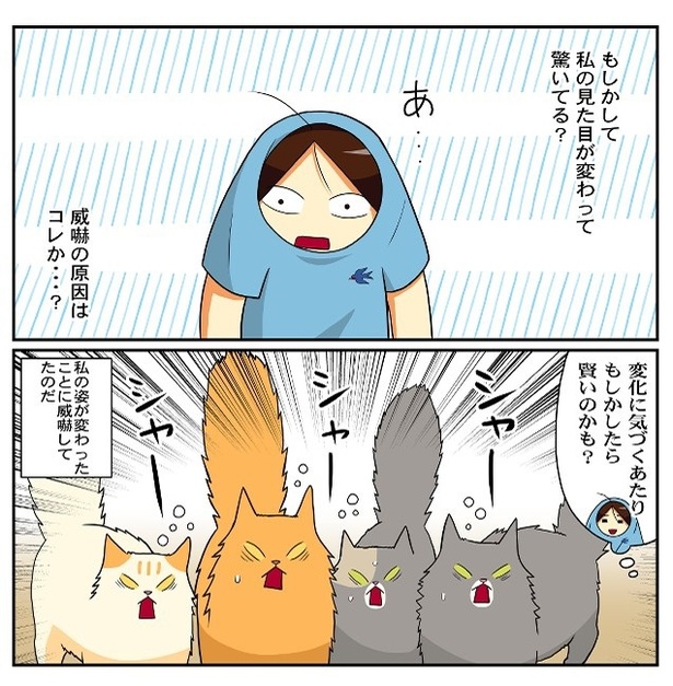 猫は人も見た目で判断してる？05