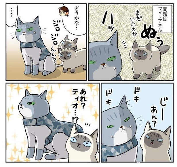 猫の記憶力のつづき5