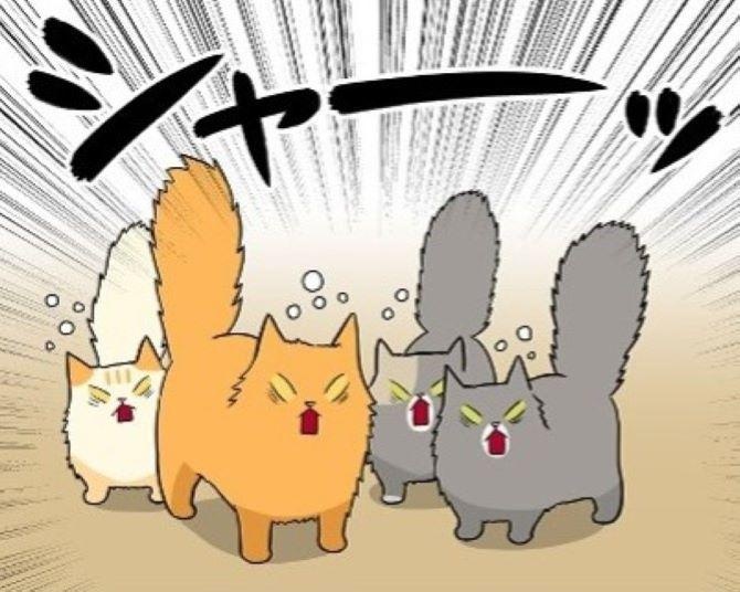 【ねこ漫画】猫も見た目で人を判断している!?飼い主を見分けるポイントは声や匂いだけじゃなかった【作者に聞く】