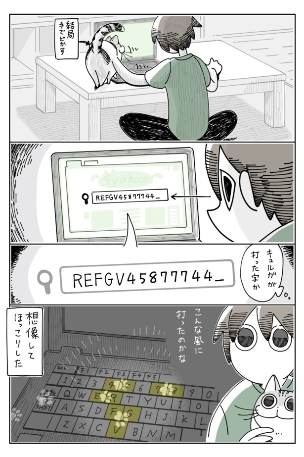 「キーボードの上のネコ」C