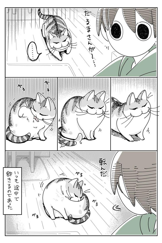 「ネコとだるまさんが転んだ」D