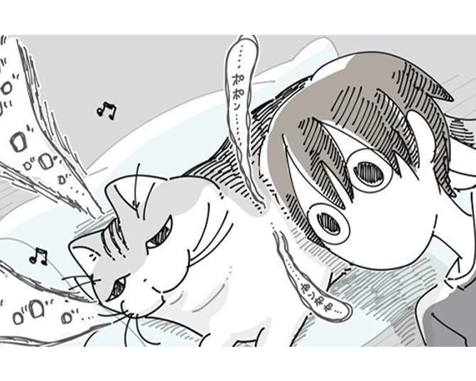 【ネコ漫画】愛猫のお腹がゴロゴロ鳴り響いて眠れない飼い主!?SNSで9.2万超えいいねを獲得した人気漫画！