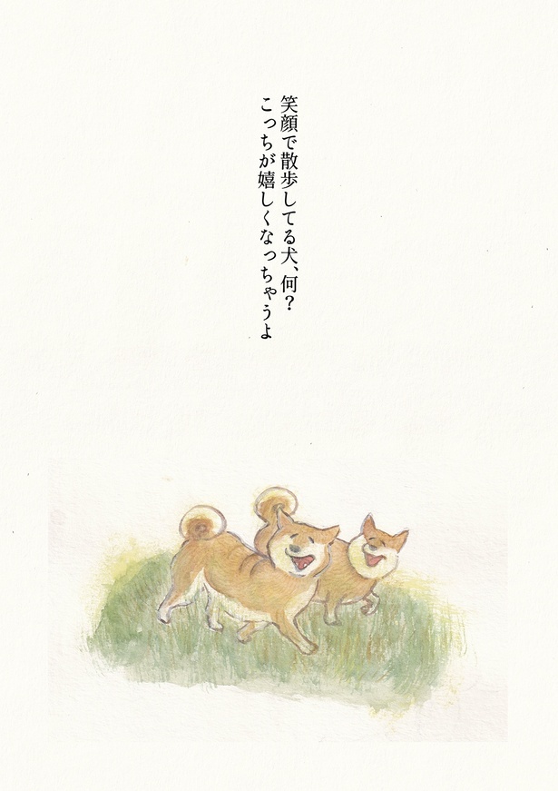 画像17/52＞犬は私たちを照らしてくれる一等星のような存在