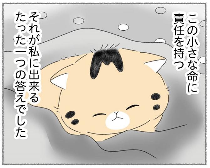 【ネコ漫画】用水路に落ちそうな子猫を助けたものの、母猫と引き離したことに罪悪感。「絶対にこの子を幸せにする。これが私にできるたった一つの答え」