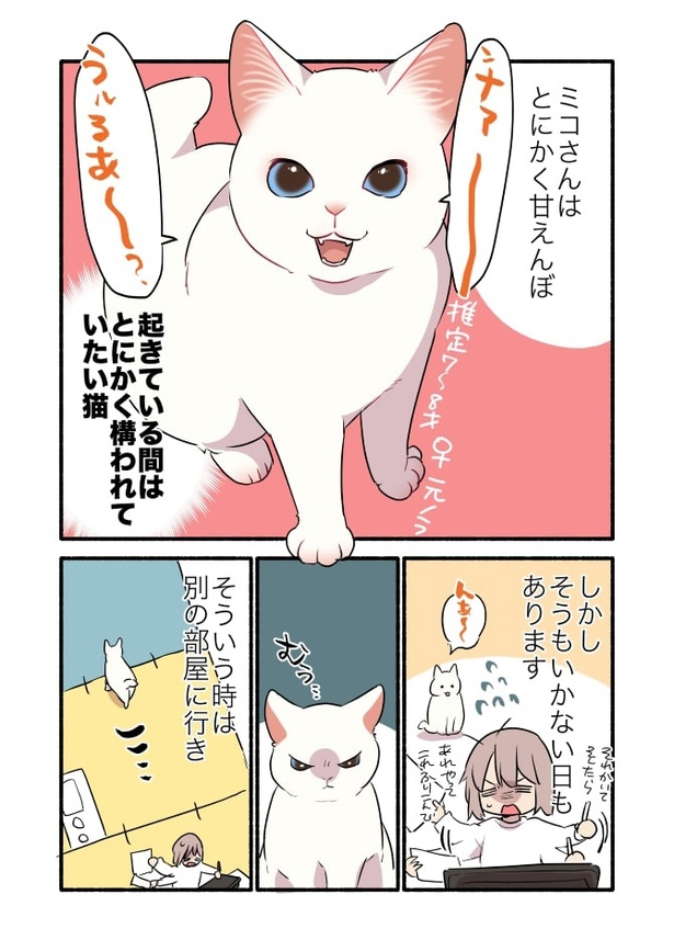 甘えんぼ猫が誰にでも甘えるのか検証してみた_P01