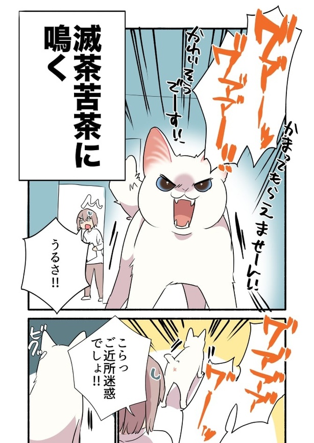 甘えんぼ猫が誰にでも甘えるのか検証してみた_P02