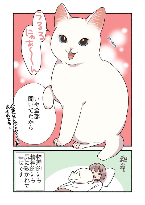 甘えんぼ猫が誰にでも甘えるのか検証してみた_P03