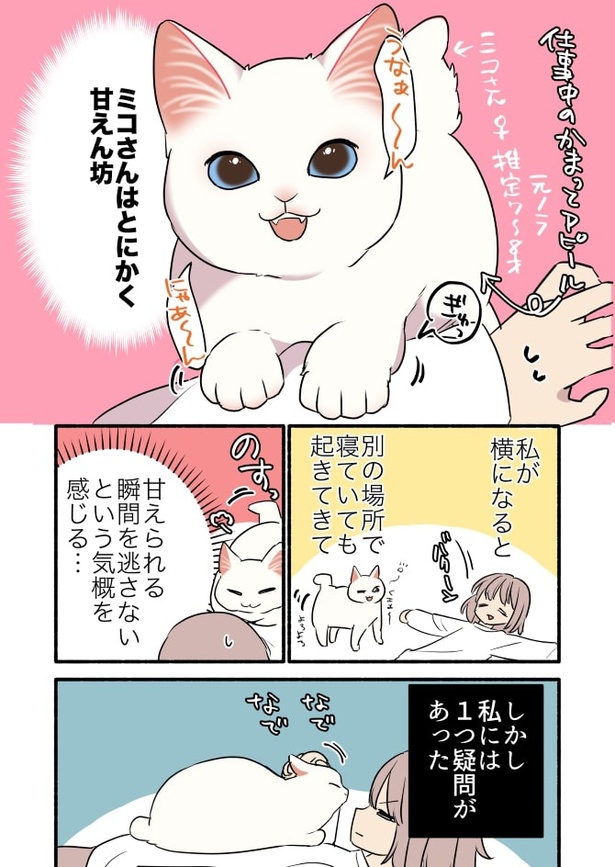 甘えんぼ猫が誰にでも甘えるのか検証してみた_P04