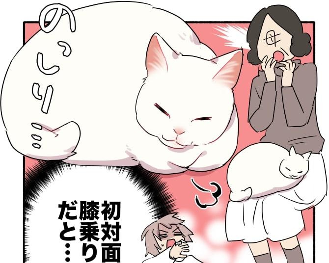 【ねこ漫画】「初対面で膝乗りだと!?」誰でもウェルカムな猫が「シャー!!」威嚇した相手は？【作者に聞く】