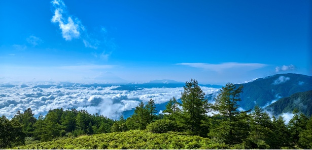 開放感抜群の甘利山山頂は「雲海」スポット。夜は甲府盆地の夜景もきれいなのだそう