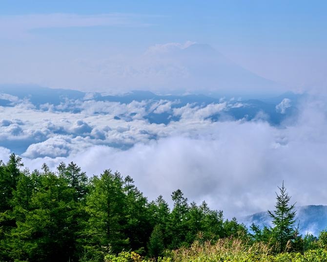 青空の下で味わうおいしいジンで気分爽快！秋の甘利山でキャンプして早朝の雲海を見に行こう