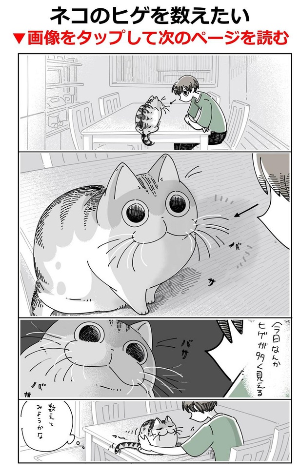 「ネコのヒゲを数えたい」01