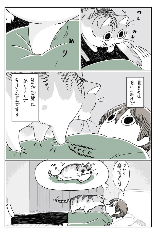 「お腹の上にのるネコ」B