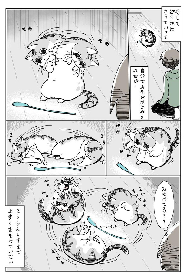 「新しいネコじゃらし」C