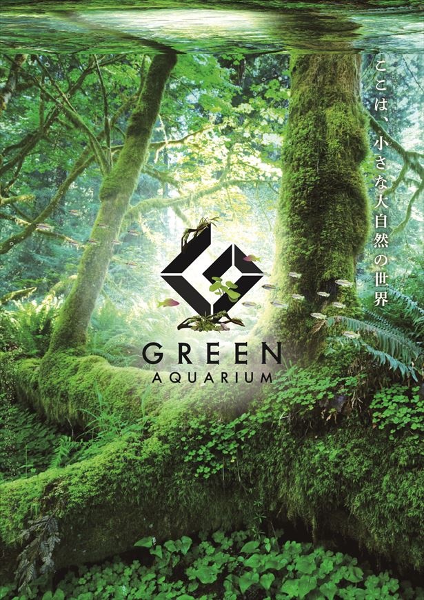 東京・武蔵小杉の「GRAND TREE MUSASHIKOSUGI」にて、9月13日(水)から10月9日(祝)まで、「グリーンアクアリウム展」が開催