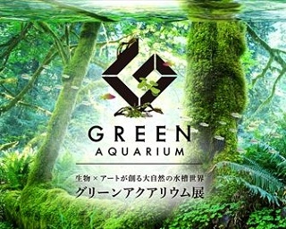 水槽のなかの森！癒やしの「グリーンアクアリウム展」が武蔵小杉で開催